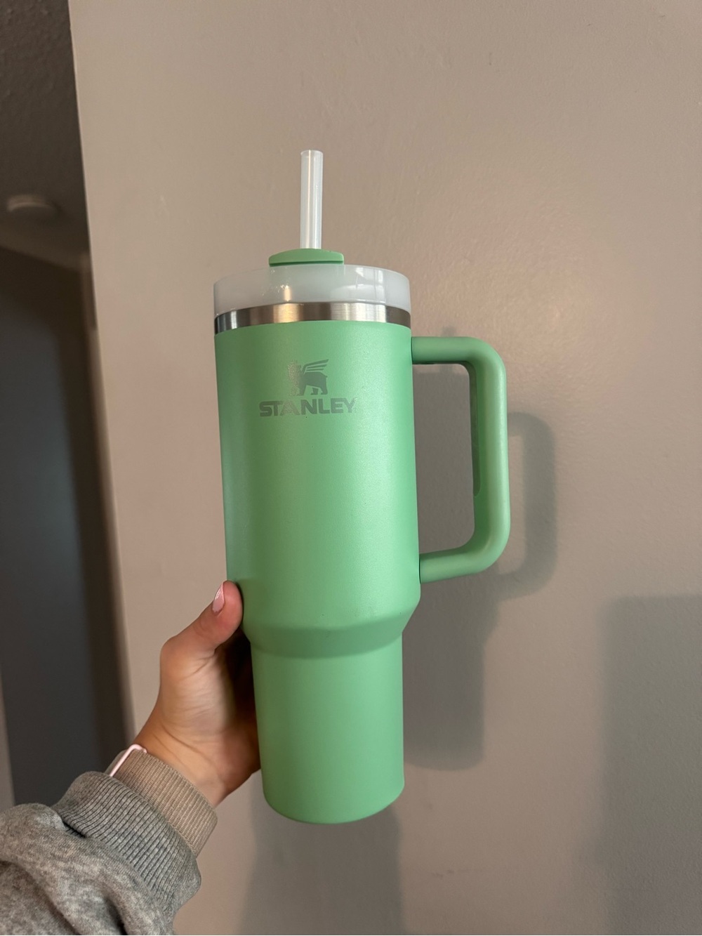 Stanley Green Insulated Travel Mug with Handle and Straw 40oz